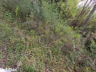 I Had Sex with the Caretaker's Stepson in the Woods of My Farm.