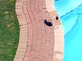 Caught My Neighbours Fucking When Flying with My Drone