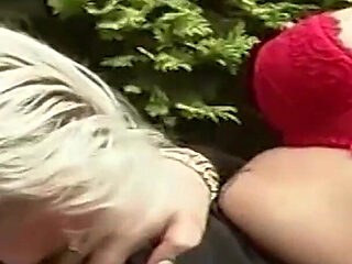 A Bitch in Front of My House