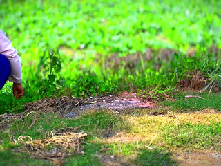 Arab Big Ass BBW Hot College Girl Fucked by Classmate!