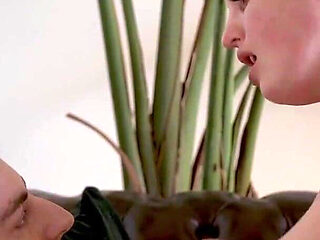 Mirror Mirror Featuring Charlie Forde, Dominic Driver