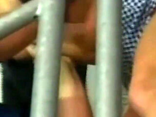 Golden Shower of Housewives