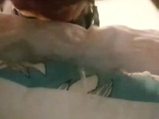 Laura hogtied and hooded with a lip open mouth gag has her throat fucked for 15 minutes