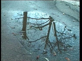 Lisa Fucks Everywhere and Takes Everything in Her Mouth, Asshole, and Pussy.