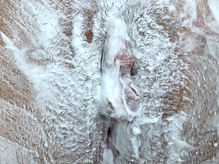 Shaving a Landing Strip! Intimate Pussy Trimming! Hairy Pussy Close-up!