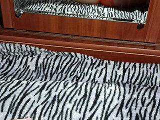 Homemade Masturbation in Front of the Mirror Without Taking off Her Panties