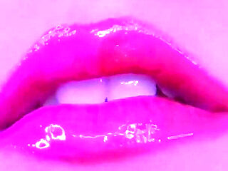 The Legacy Collection