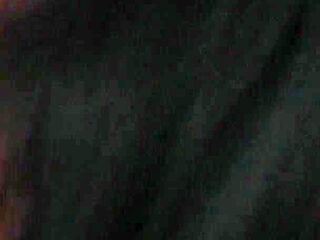 Young Kitten Begging to Be Impregnated