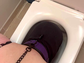 Head in the Toilet...