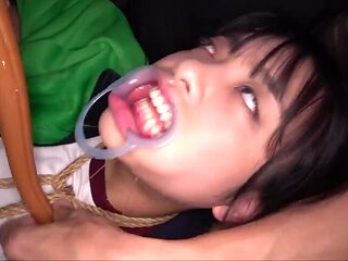 x4xB73B916108E0A85048