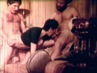 Vulgar Capricious Pig