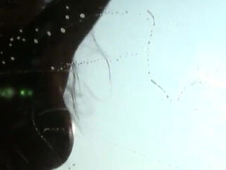 Hot and sexy Mandy Bright sex full movie scene