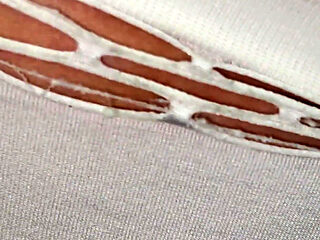A Collection of Morning Yellow Piss! Watch Me-and My Dirty Pads! Female POV!