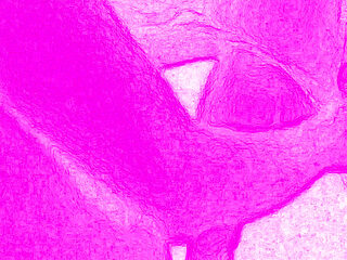 A Sexual Encounter Is About Joy, so Intense and Wild That It's Difficult to Describe in Words.