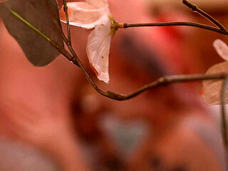 Hot Neighbors in Hot Tub