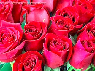 Jaw-dropping mature hotwife in saree has a wild adventure with her husband