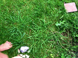 Clean My Mud Dirty Feet Slave