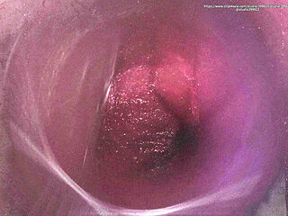 B034 Shrinking Man Sandwiched Between Two Giantess Butts Big Ass Fart Domination