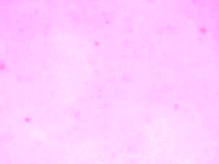 The Unicorns Interview