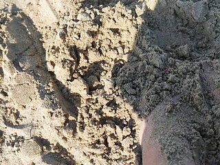 Nice Feet on the Beach