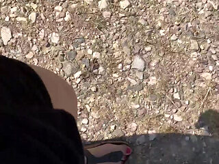 I'm Only Going for a Walk Today for One Reason