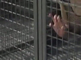 Caged Lesbian Sluts Dildo Drilling Dripping Pussies