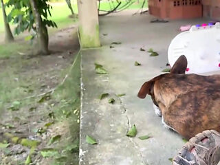 Horny Country Girl Gets Fucked Before the Owners Arrive.