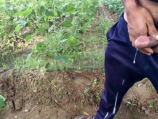 Barish ke Mausam mein payal bhabhi ki gand chudai ki