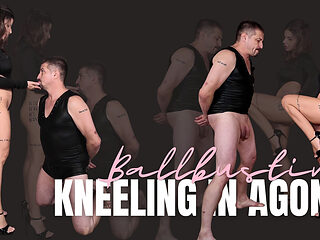 Kneeling in Agony - Ballbusting
