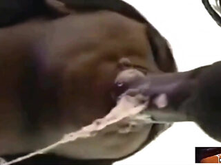 Perfect Lips-mouth Is Amazing!!!