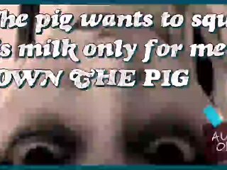 The Pig Wants to Unload Its Milk Only for Me