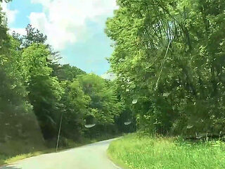 Sweet Cherry Adventure in My Car