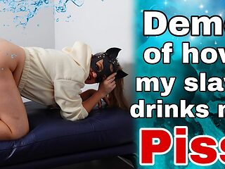 Femdom Demo of How My Toilet Slave Drinks My Piss