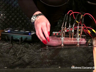 Electro and Milking