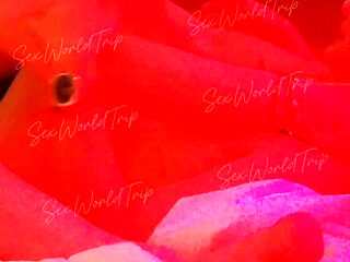 Sexworldtrip - Amateur Hot Latina in Red Light Hotel Room, Real Homemade Sucking & Fucking