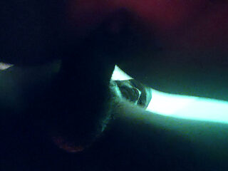 Amateur FWB Preview
