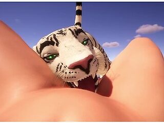 Car Toon In Wonderful Vacation ( Wild Life )