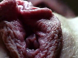 My Big Labia Pussy From Below Closeup
