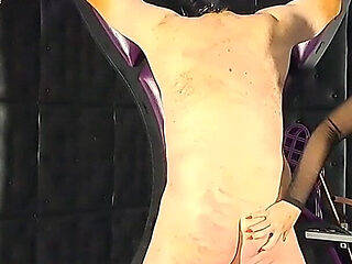 Whips for the Slavesass