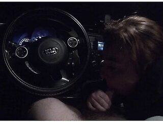 I Was So Horny We Had To Pull Over So He Could Dick Me Down