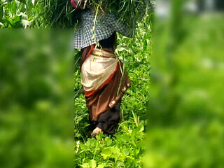 Desi Bhabhi Outdoor Fuck with Devar in Jungle - Sukunmi & Dewaif Public Sex