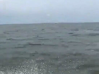 A Journey Through the Sea