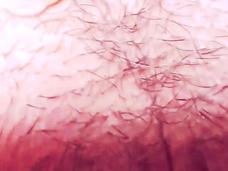 Macro Perspective: Extreme Close-up with Micro Camera