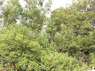 Young babe gets black cock in her ass