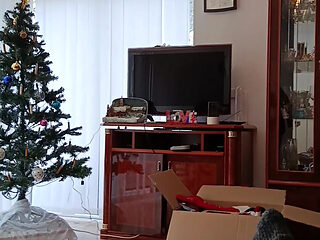 I Helped My Sick Friend Decorate the Christmas Tree.