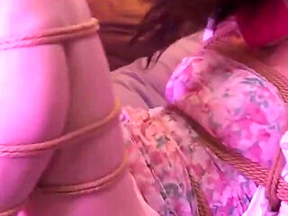 Placing the Little Stepsister in the Wardrobe 02