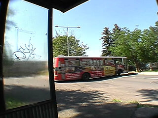 Bus Stop Encounter