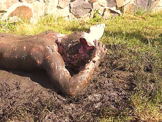 Humiliate, spit and piss on the filthy pig - PEE and MUD