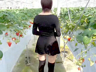 short Story Compilation Mayu No.44-46 Cosplay, Squirting, Deep Throat,, Convulsions, Exhibitionism, Semen Swallowing