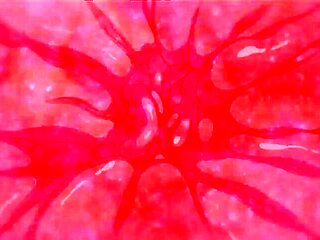 Endless Passion beyond control_170224p0010